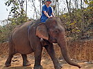 Jízda na slonovi v Luang Prabang