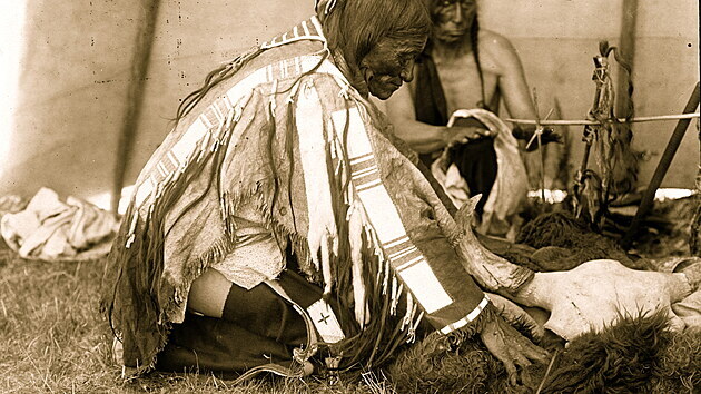 Bizoní lebka v týpí ležení indiánů Oglalů, foto je z doby kolem roku 1907.