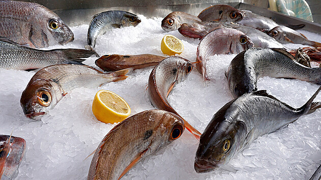 Výběr čerstvých ryb je v restauracích samozřejmostí.
