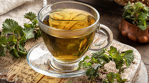Čaj z mladých kopřiv si naordinujte jako jarní očistnou kúru. 