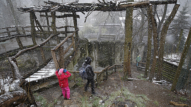 Jihlavská zoologická zahrada se otevřela po 115 dnech návštěvníkům. I když zůstávají zavřené všechny vnitřní prostory a pavilony, v prvních dnech toho i přes nepříznivé počasí využilo několik stovek lidí.