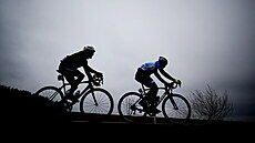 Cyklisté na trati úvodního závodu eského poháru Brno-Velká Bíte-Brno