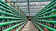 Na jae 2021 se firma Future Farming chlubila novou akvaponickou farmou v brnnských Dolních Herpicích, která mla vypstovat a 770 tun rostlin ron. Nyní kvli dluhm koní.