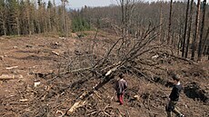 Cesta na D�dkovskou horu, jednu z dominant M��ínska, vede p�es vyt�ené plochy....
