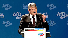Jörg Meuthen předseda Afd, Německo