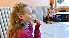 Testování školáků při návratu do škol 12. dubna 2021. | na serveru Lidovky.cz | aktuální zprávy
