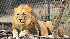 Zlínská zoo (duben 2021)