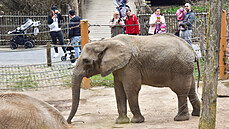 Zoo Zlín Le�ná (duben 2021).