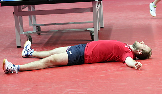 Stolní tenista Pavel iruek slaví postup na olympijské hry v Tokiu.