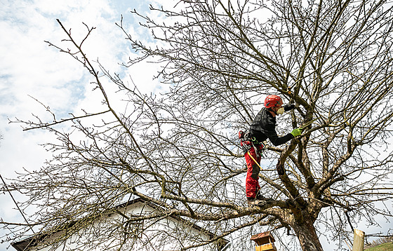 ilustra�ní snímek