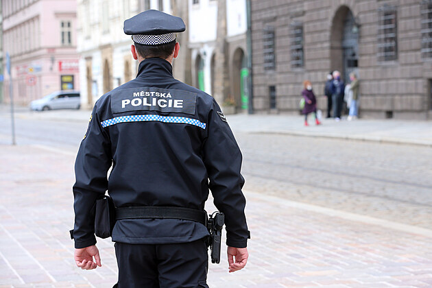 Plzetí stráníci odmítají plán nového velitele zavést jednolenné hlídky....