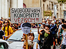 Pochod Million Marihuana March za legalizaci konop loni v Praze podpoil i...