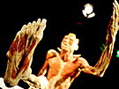 V Brn� je p�ipraven� kontroverzn� v�stava lidsk�ch t�l Body Worlds. Od z���...