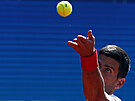 Novak Djokovi na turnaji v Blehrad.
