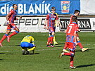 Plzetí fotbalisté se radují z gólu na hiti Teplic.