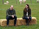 Princ William a vévodkyn Kate na návtv farmy Manor Farm (Little Stainton,...