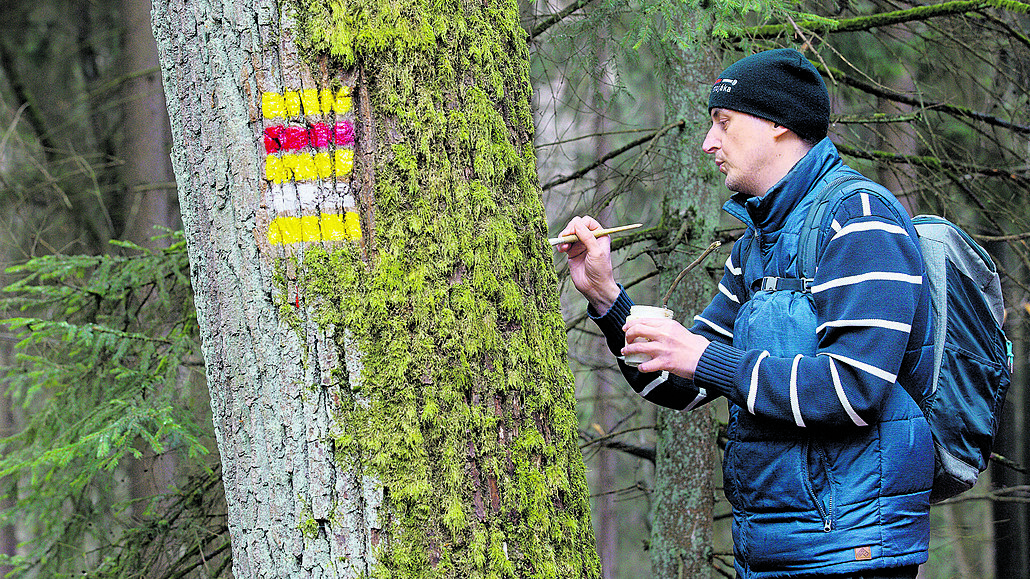 Autor reportáže opravuje značku i na severní straně stromu.