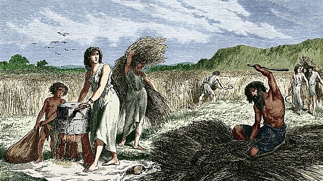 Zemědělství již znalo dělbu práce podle pohlaví. Analýza nástrojů v neolitických hrobech ji poté vědcům přiblížila.