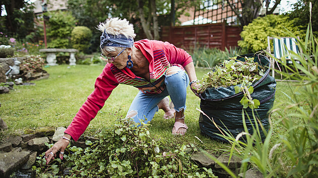 Vědci zjistili, že práce na zahradě zdaleka není jen fyzickou aktivitou, ale prospívá i zdraví mozku.