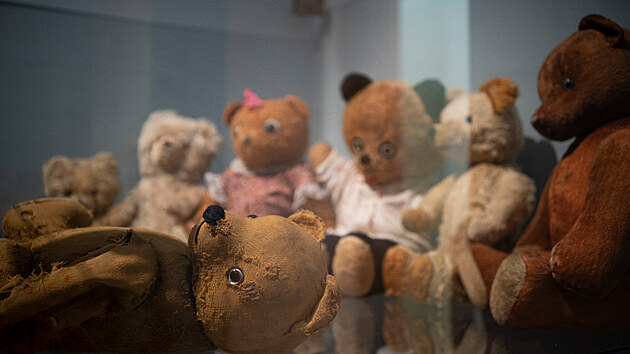 Příprava výstavy Tajný život medvídků ve Slováckém muzeu v Uherském Hradišti.