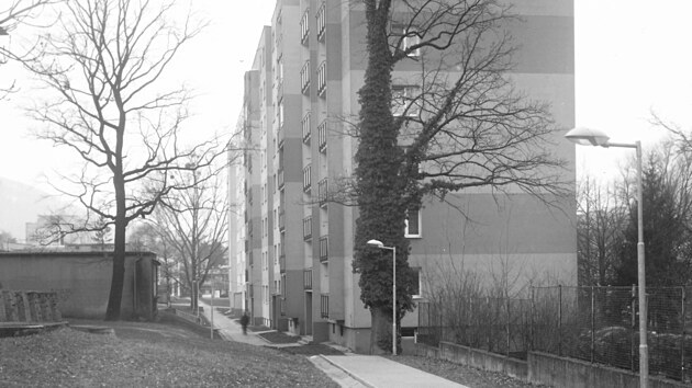 Dub jako posledn� poz�statek tov�rn� zahrady