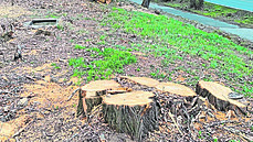 Povltavská ulice je te� jako m�sí�ní krajina.