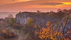 Stránská skála v Brn� je domovem �ady zajímavých rostlin a �ivo�ich�.