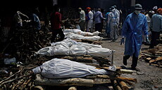 Indie se potýká s masivním nár�stem nových p�ípad� koronaviru. Indické...