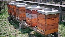 S p�ihlá�kami do projektu komunitní v�elnice i s dotazy se neváhejte obracet na...