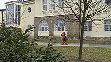 Píprava výstavy Tajný ivot medvídk ve Slováckém muzeu v Uherském Hraditi.