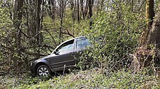 idi s autem dojel ke srázu, poté z nj vystoupil a skoil do eky.