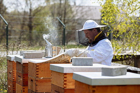 Luká Janura z Ekocentra Prales kontroluje velí úly, na kterých se mohou lidé...