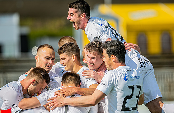 Fotbalisté Hradce slaví, Pavel Dvoák je druhý zleva