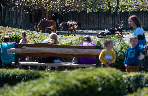 V létě táhly návštěvníky voda, hrady i muzea. Hory turisty spíše ztrácely