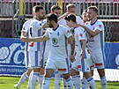 Fotbalisté Mladé Boleslavi se radují z gólu.