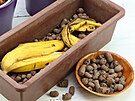 Jako hnojivo mete pouít i pímo celé banánové slupky, a to pro rostliny v...
