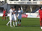 Fotbalisté Hradce se v zápase s Blanskem radují z gólu, který jim zajistil...