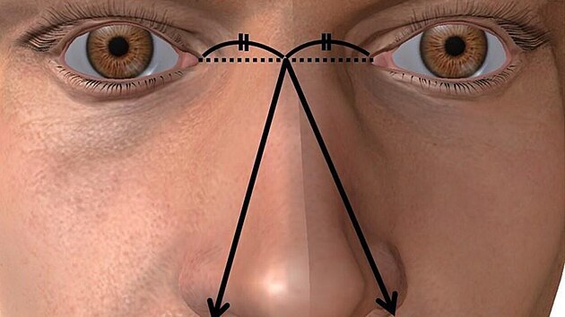Japonští autoři se výzkumu chopili s vědeckou pečlivostí. Nákres popisuje, jak měřili nos.