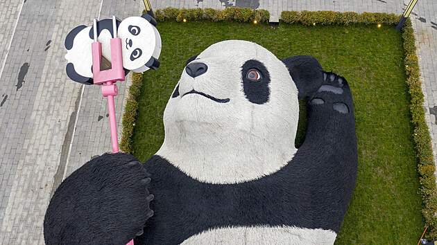 Ob panda fotc si selfie, kter se nachz v nskm mst Dujiangyan, je...