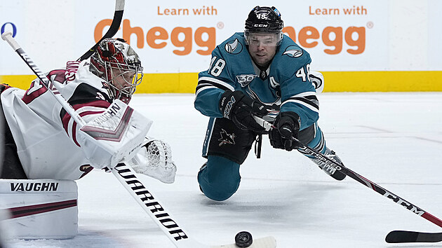 Tom Hertl ze San Jose se pokou doshnout na puk, brank Arizony Darcy Kuemper je proti.