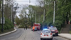 Spadlý strom strhl vedení a zkomplikoval tak provoz tramvajových linek 2, 18 a...