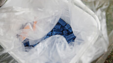 ilustra�ní snímek