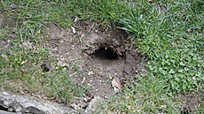 ilustra�ní snímek