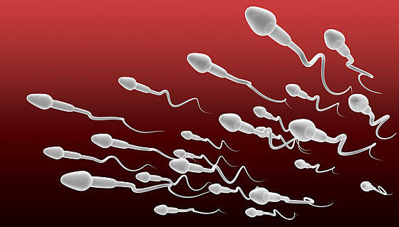 Spermie a jejich budoucnost postrašily svět - a rozpoutaly vědeckou debatu.