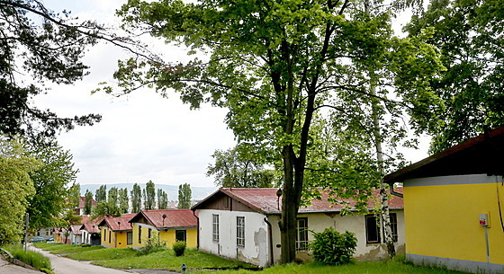 V areálu VUT na Kraví hoře v Brně nyní stojí nízké domky. Podle nového návrhu...