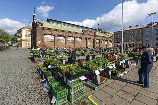 V Kate�inské ulici nedaleko centra Olomouc stojí chátrající historická budova...