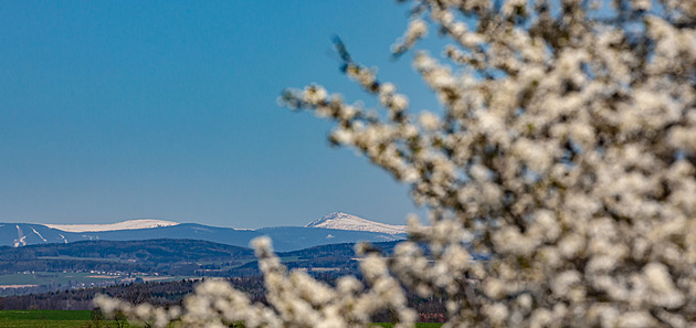 Na Snce dosud leí sníh, v Hradci Králové u kvetou stromy (27. 4. 2021).