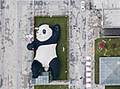 Obí panda fotící si selfie, která se nachází v ínském mst Dujiangyan, je...