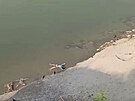 Záznam z videa, které zobrazuje zemelé na covid v indické ece Ganga. (11....