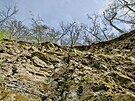 Bidlicová stna mezi Neslovicemi a Zbýovem na Brnnsku ukrývá zkamenliny...